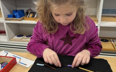 Montessori Monday: The Fraction Materials