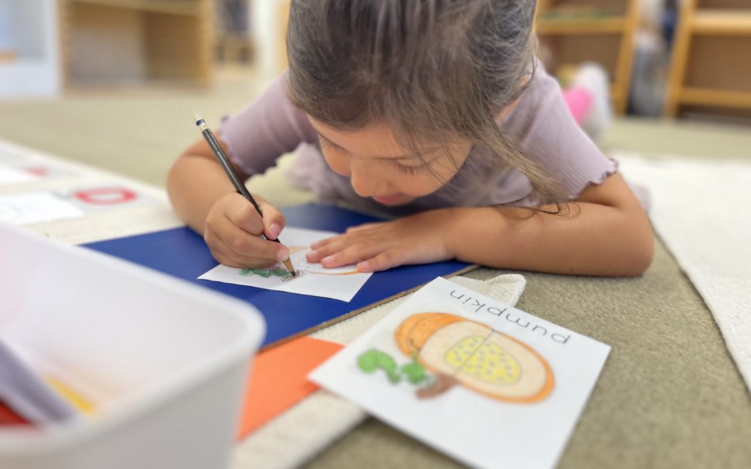 Montessori Monday: Nomenclature Cards and Purposeful Writing
