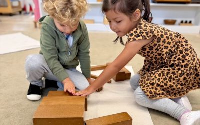 Montessori Monday: The Broad Stair