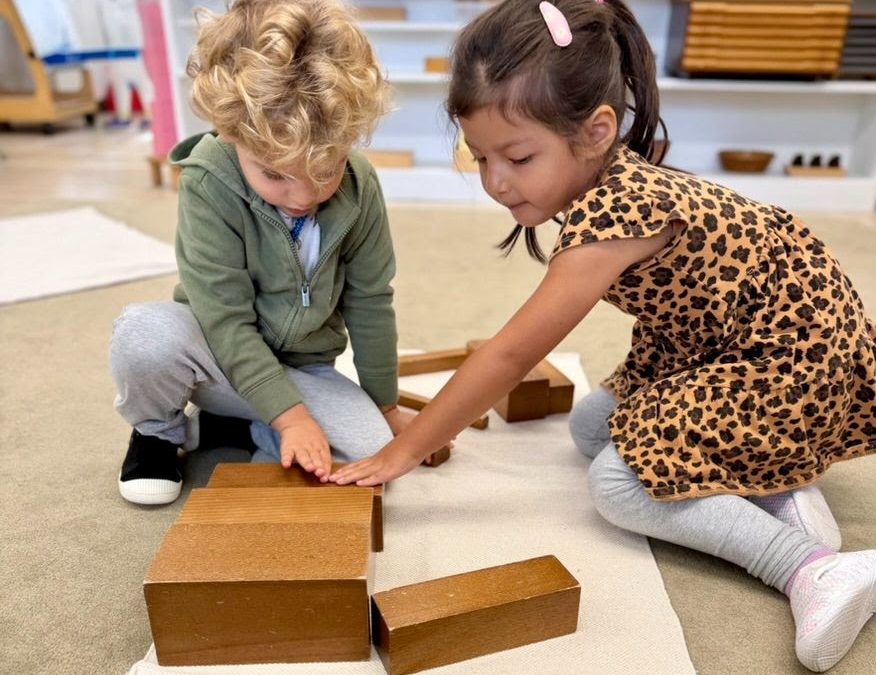 Montessori Monday: The Broad Stair