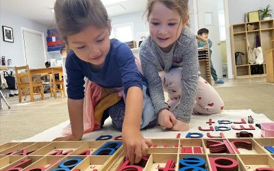 Montessori Monday: The Moveable Alphabet
