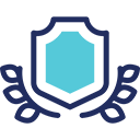 Icon Shield