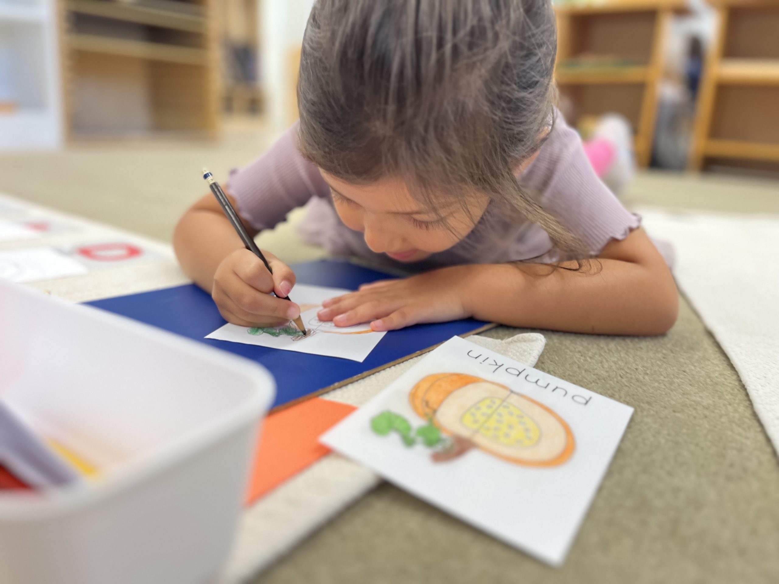 Montessori Monday: Nomenclature Cards and Purposeful Writing