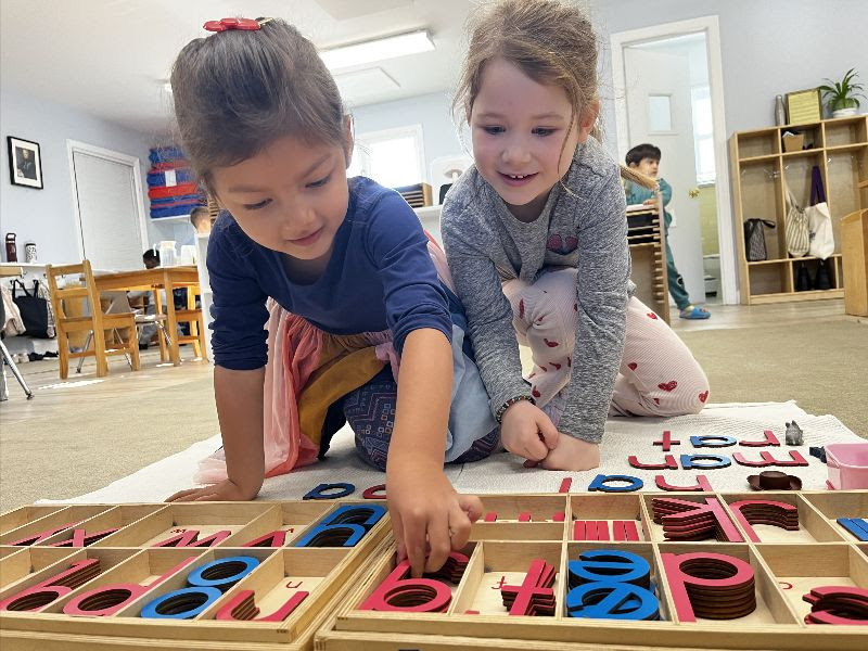 Montessori Monday: The Moveable Alphabet
